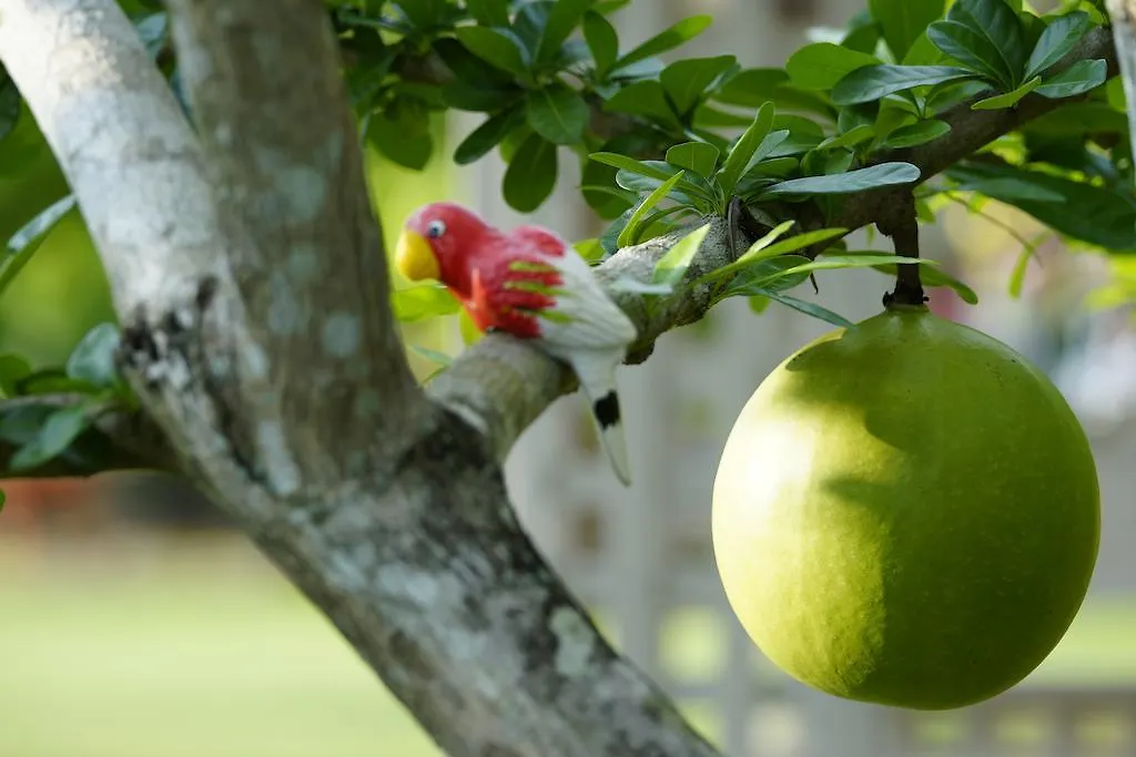 Perennial Resort Nai Yang Beach